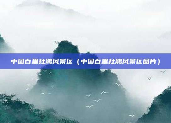 中国百里杜鹃风景区(中国百里杜鹃风景区图片)