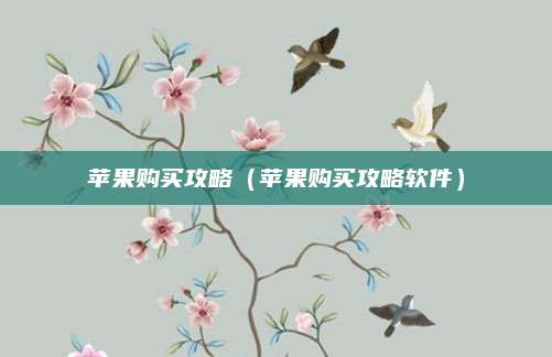 苹果购买攻略（苹果购买攻略软件）