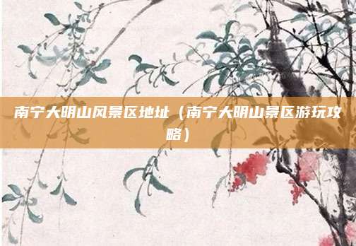 南宁大明山风景区地址（南宁大明山景区游玩攻略）