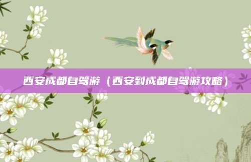西安成都自驾游(西安到成都自驾游攻略)