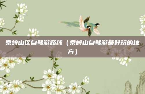 秦岭山区自驾游路线(秦岭山自驾游最好玩的地方)