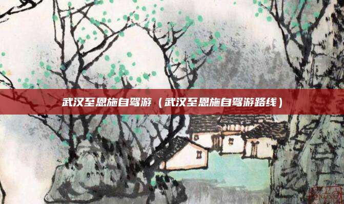 武汉至恩施自驾游（武汉至恩施自驾游路线）