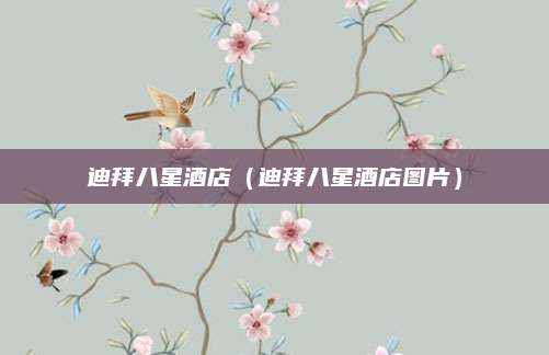 迪拜八星酒店（迪拜八星酒店图片）