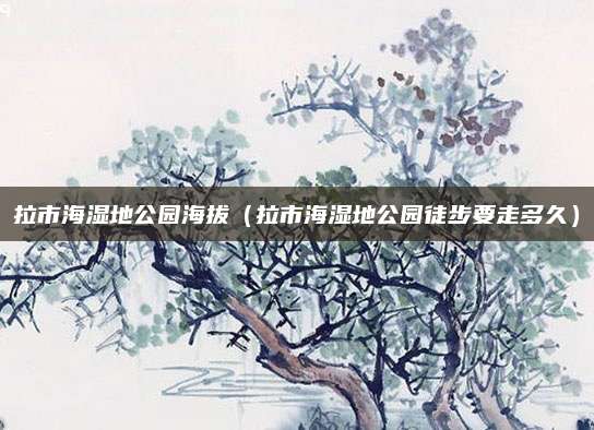 拉市海湿地公园海拔（拉市海湿地公园徒步要走多久）