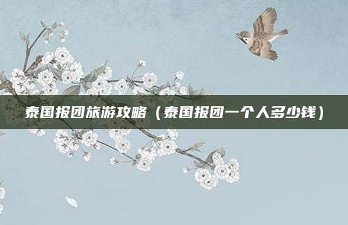 泰国报团旅游攻略(泰国报团一个人多少钱)