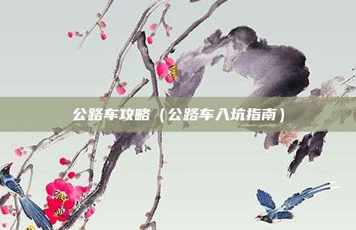 公路车攻略（公路车入坑指南）