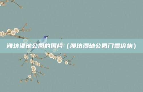 潍坊湿地公园的图片（潍坊湿地公园门票价格）