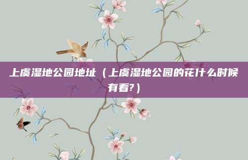 上虞湿地公园地址（上虞湿地公园的花什么时候有看?）
