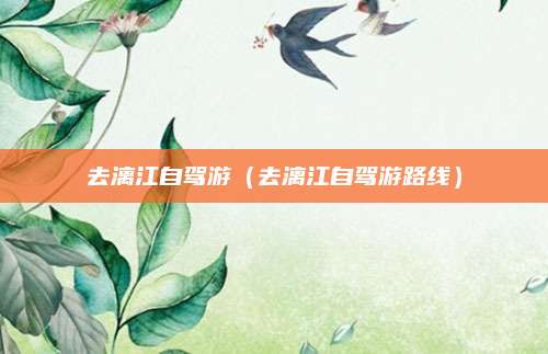 去漓江自驾游（去漓江自驾游路线）