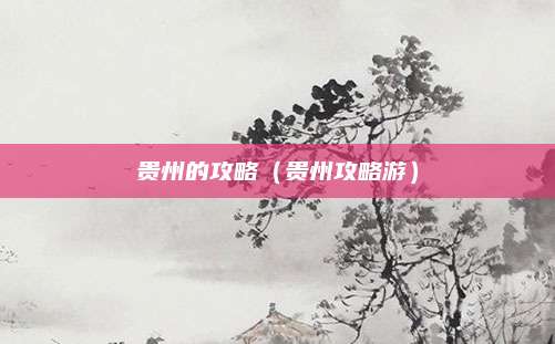 贵州的攻略(贵州攻略游)