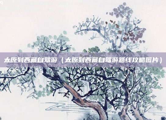 太原到西藏自驾游(太原到西藏自驾游路线攻略图片)
