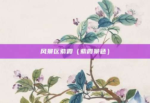 风景区紫霞（紫霞景色）
