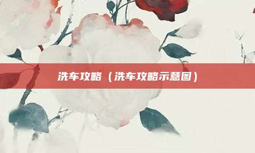 洗车攻略(洗车攻略示意图)