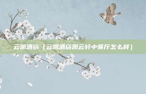 云凯酒店（云凯酒店凯云轩中餐厅怎么样）