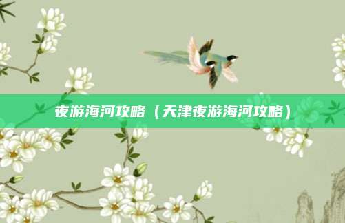 夜游海河攻略(天津夜游海河攻略)