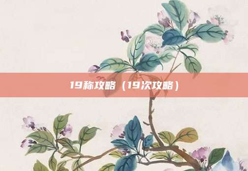 19称攻略(19次攻略)