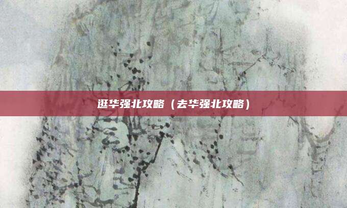 逛华强北攻略（去华强北攻略）