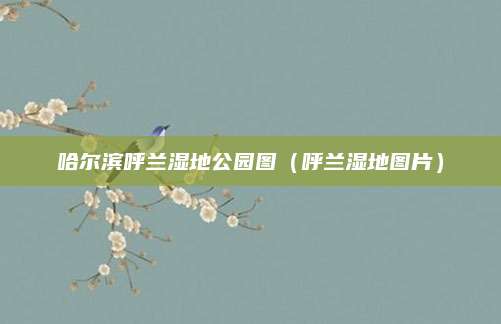 哈尔滨呼兰湿地公园图（呼兰湿地图片）