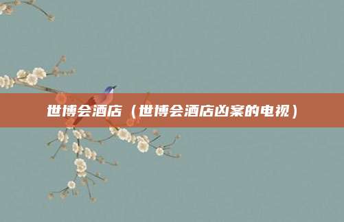 世博会酒店（世博会酒店凶案的电视）