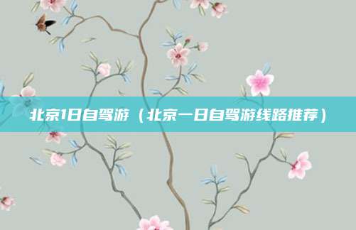 北京1日自驾游（北京一日自驾游线路推荐）