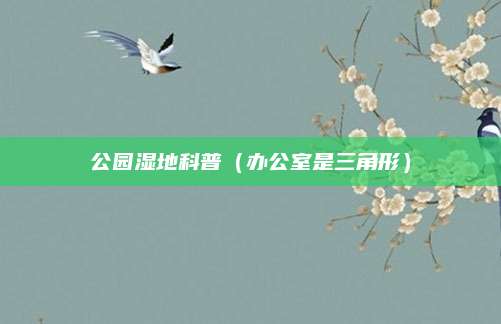公园湿地科普（办公室是三角形）