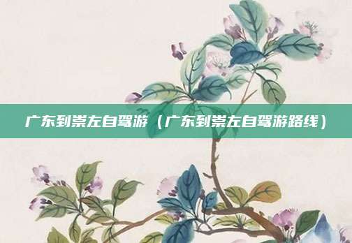 广东到崇左自驾游(广东到崇左自驾游路线)