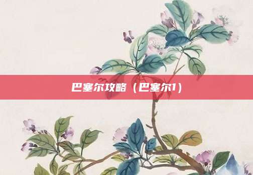 巴塞尔攻略（巴塞尔1）