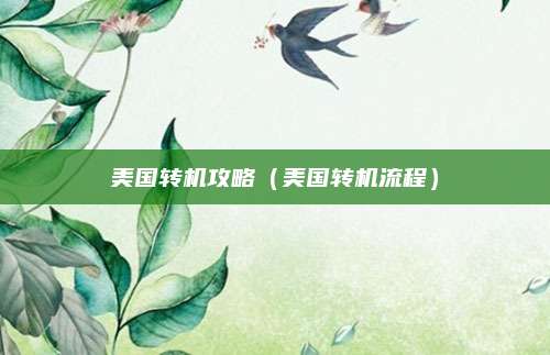 美国转机攻略(美国转机流程)