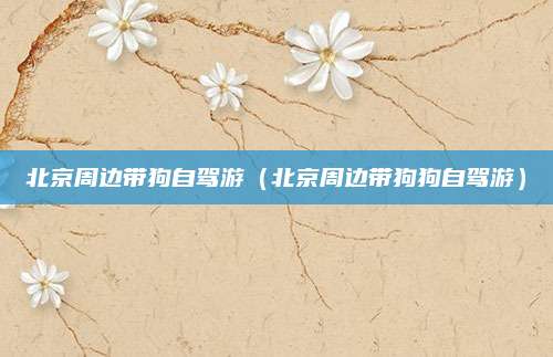 北京周边带狗自驾游(北京周边带狗狗自驾游)