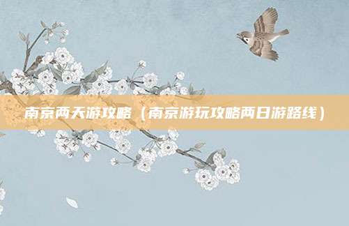南京两天游攻略(南京游玩攻略两日游路线)