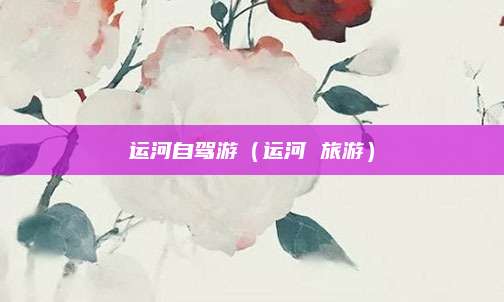 运河自驾游(运河 旅游)