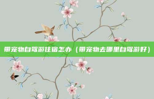 带宠物自驾游住宿怎办(带宠物去哪里自驾游好)