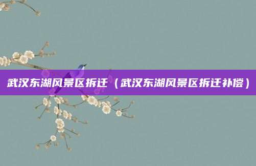 武汉东湖风景区拆迁（武汉东湖风景区拆迁补偿）