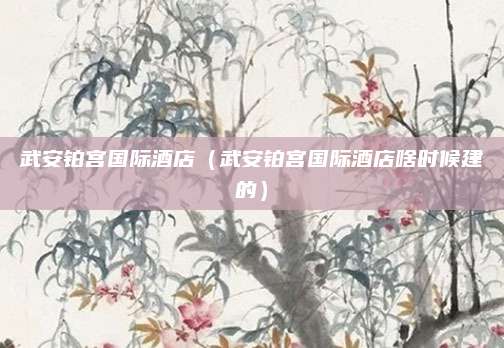 武安铂宫国际酒店(武安铂宫国际酒店啥时候建的)