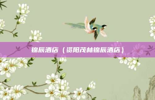 锦辰酒店（资阳茂林锦辰酒店）