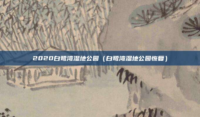 2020白鹭湾湿地公园（白鹭湾湿地公园恢复）