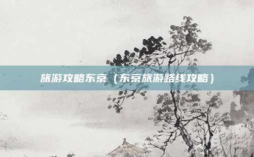 旅游攻略东京(东京旅游路线攻略)