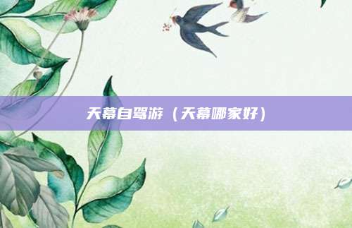 天幕自驾游(天幕哪家好)