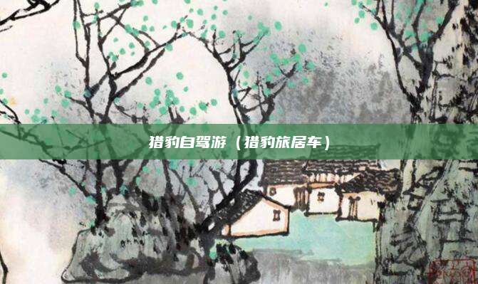 猎豹自驾游（猎豹旅居车）