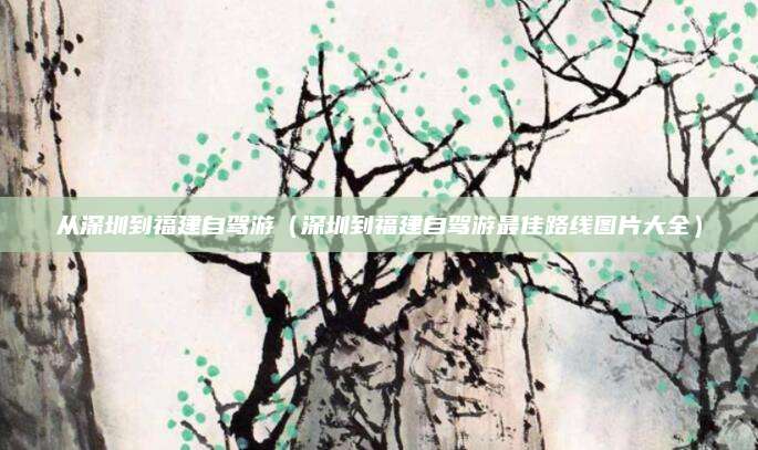 从深圳到福建自驾游(深圳到福建自驾游最佳路线图片大全)