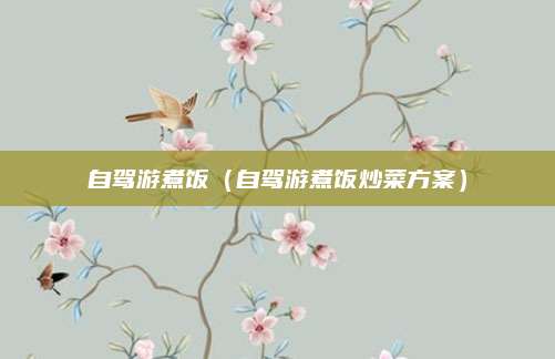 自驾游煮饭（自驾游煮饭炒菜方案）