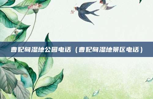 曹妃甸湿地公园电话(曹妃甸湿地景区电话)