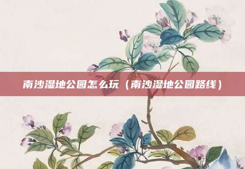 南沙湿地公园怎么玩（南沙湿地公园路线）