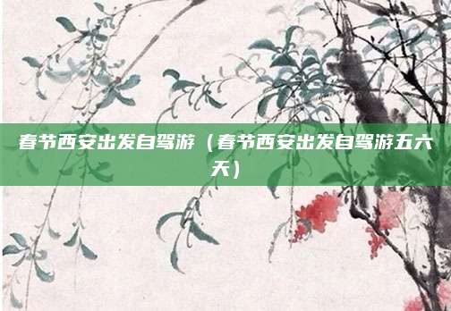 春节西安出发自驾游(春节西安出发自驾游五六天)