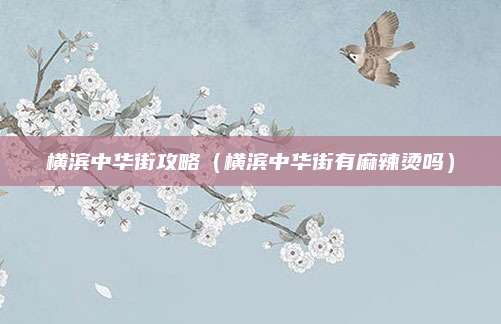 横滨中华街攻略(横滨中华街有麻辣烫吗)