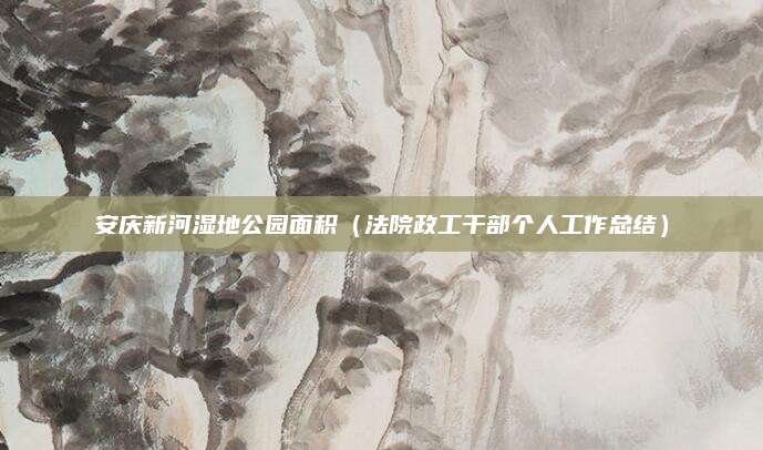 安庆新河湿地公园面积(法院政工干部个人工作总结)