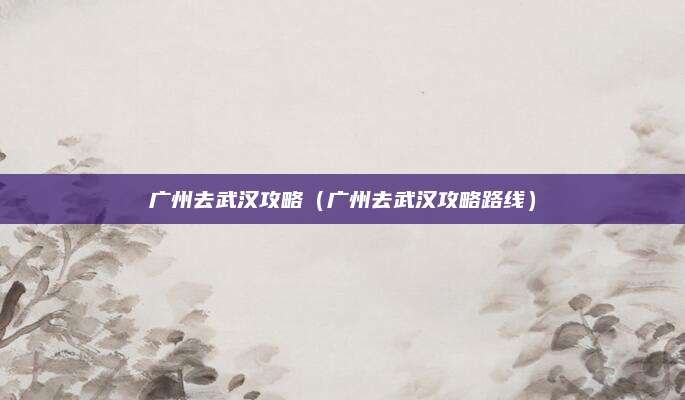 广州去武汉攻略（广州去武汉攻略路线）