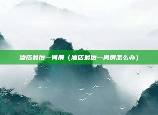 酒店最后一间房(酒店最后一间房怎么办)