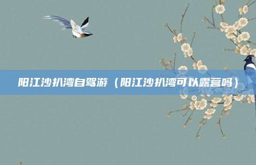 阳江沙扒湾自驾游(阳江沙扒湾可以露营吗)