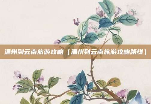 温州到云南旅游攻略（温州到云南旅游攻略路线）